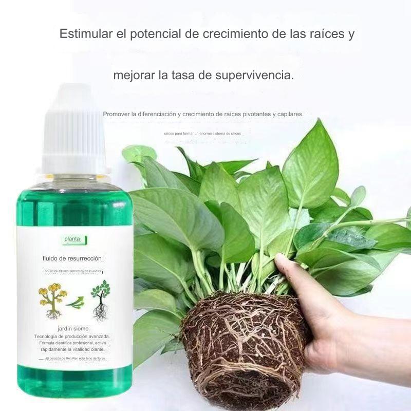 🎁【Kúpte 2, získajte 3 zadarmo】🌱🌱Tekutý roztok, ktorý stimuluje rast rastlín a kvetín