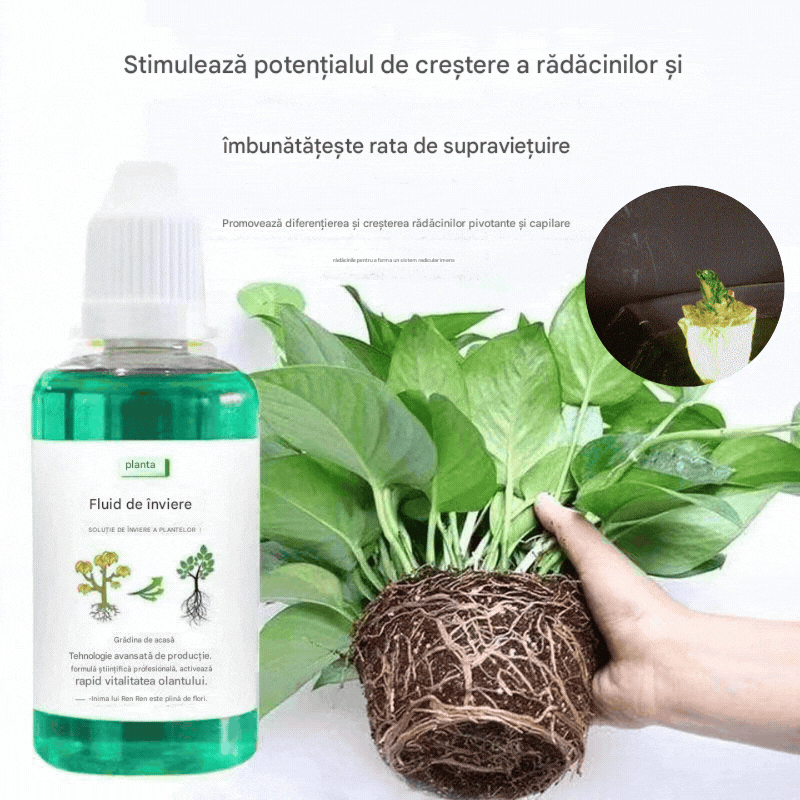 💥【Kupite 1, dobite 2 brezplačno】 3 stekleničke 🌱🌱 Hranilna raztopina, ki spodbuja rast rastlin
