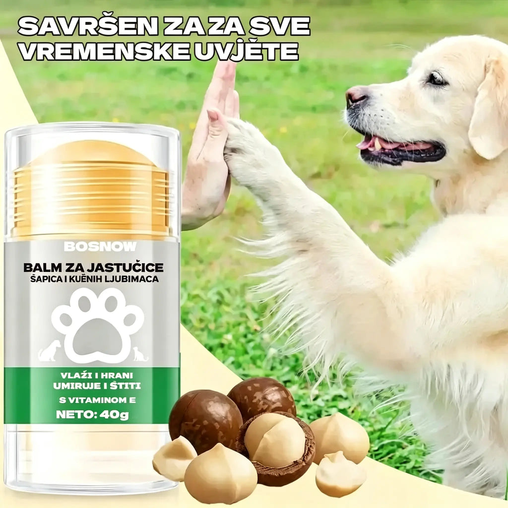💧🐾 Hidratantni balzam za šape – 🐶 Razmazite meke i zdrave šape svog ljubimca